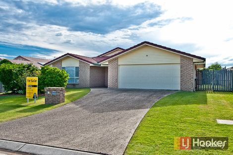 20 Calista Cres, Bracken Ridge, QLD 4017