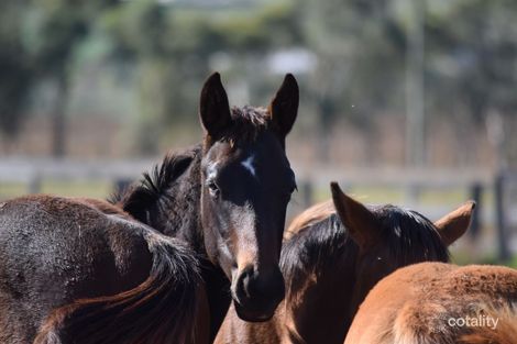 115 Nandowra Rd, Moobi, NSW 2337