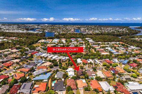 Property photo of 9 Cedar Court Currimundi QLD 4551
