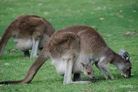 Property photo of LOT 103 Rondo Way Yanchep WA 6035