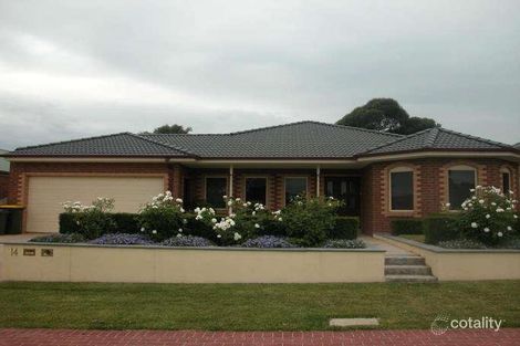 Property photo of 14 Windsor Grange Court Skye VIC 3977