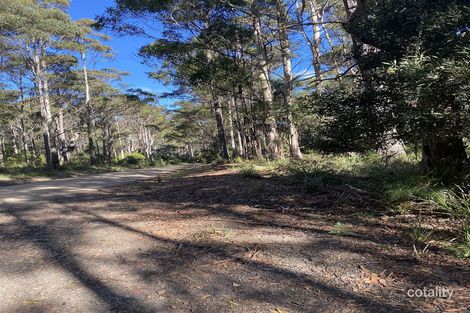 204 Richardson Rd, St Marys, TAS 7215