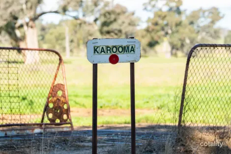 312 Merri Meric Rd, Henty, NSW 2658