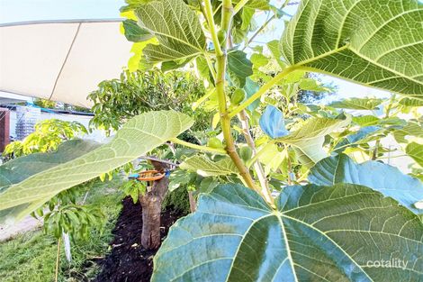 Property photo of 4 Winterfold Road Hilton WA 6163