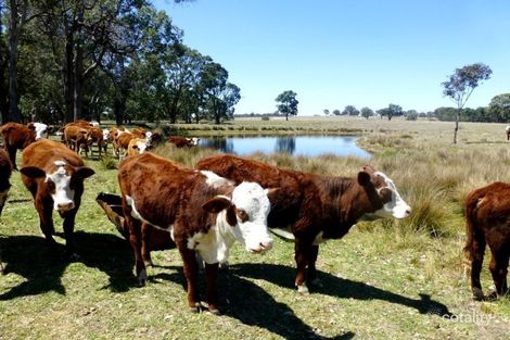 Property photo of 2300 Watsons Creek Road Watsons Creek NSW 2355