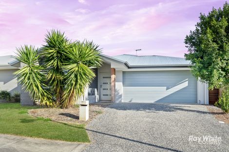 77 Talbot Dr, Greenbank, QLD 4124