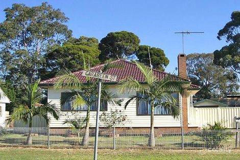 25 Carabeen St, Cabramatta, NSW 2166