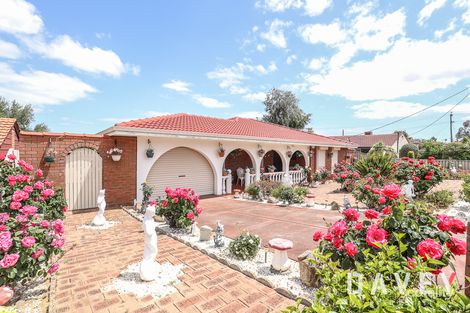 Property photo of 41 Danbury Crescent Girrawheen WA 6064