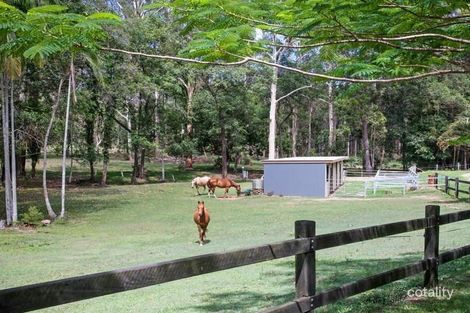 Property photo of 44 Eudlo Flats Road Kiels Mountain QLD 4559