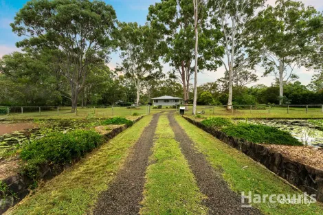 Property photo of 7 Rankin Street Howard QLD 4659