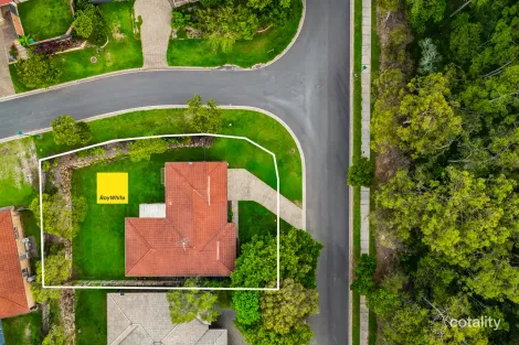 Property photo of 38 Jonquil Street Ormeau QLD 4208