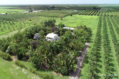 Property photo of 31 Mango Avenue Horseshoe Lagoon QLD 4809