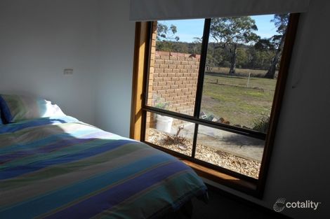 Property photo of 10324 Tasman Highway Little Swanport TAS 7190