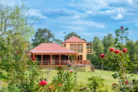 Property photo of 64 Yowaka River Road Greigs Flat NSW 2549