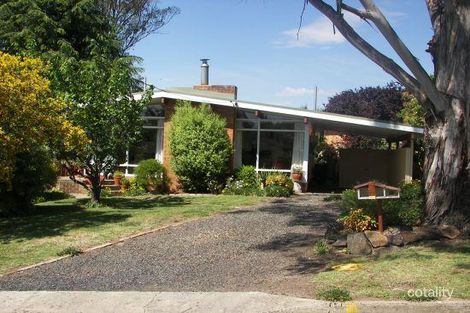24 Wilson Ave, Armidale, NSW 2350