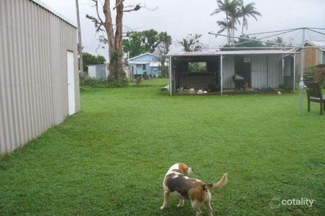 Property photo of 8 Palm Avenue Coconuts QLD 4860