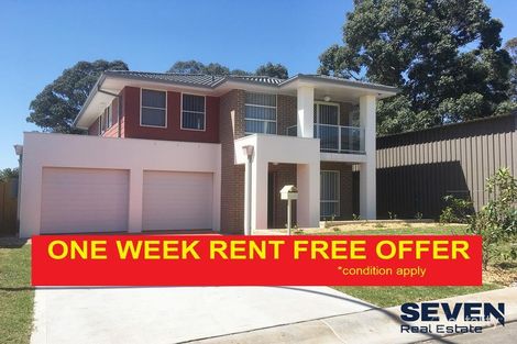Property photo of 49 Raewyn Crescent Schofields NSW 2762