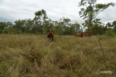Property photo of 168 Berries Road Eureka QLD 4660