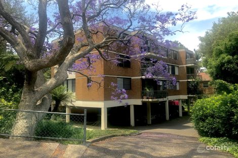 Property photo of 3/69 Shellcove Road Neutral Bay NSW 2089