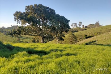 Days Rd, Belbora, NSW 2422