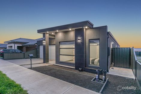 Property photo of 49 Kangaroo Road Craigieburn VIC 3064