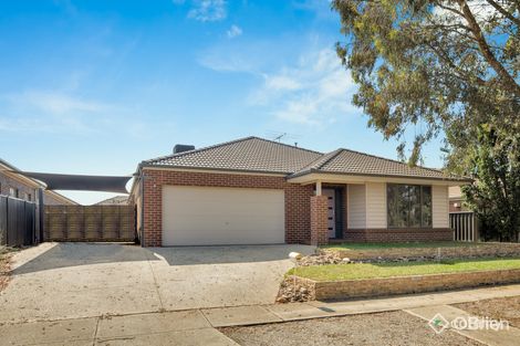 15 Ashburton Ave, Manor Lakes, VIC 3024