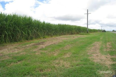 Property photo of 262 Gardner Road Wangaratta QLD 4806