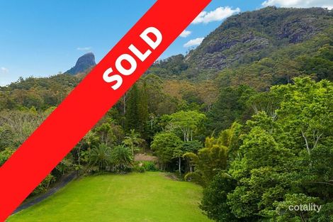 497 Mount Warning Rd, Mount Warning, NSW 2484