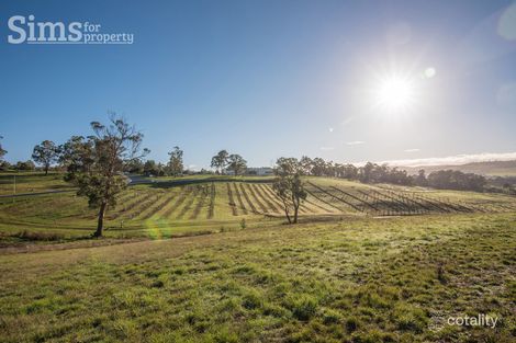 5 Bevel Ct, Kings Meadows, TAS 7249