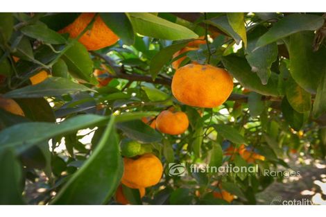 Property photo of 23 Second Avenue Cockatoo VIC 3781