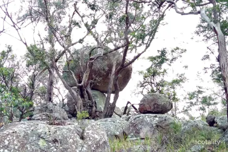 427 Brushabers Rd, Jennings, NSW 4383