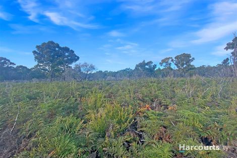 Property photo of 8 Seabreeze Court Beaumaris TAS 7215