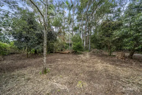 Property photo of 1-3 Banksia Road Springbrook QLD 4213