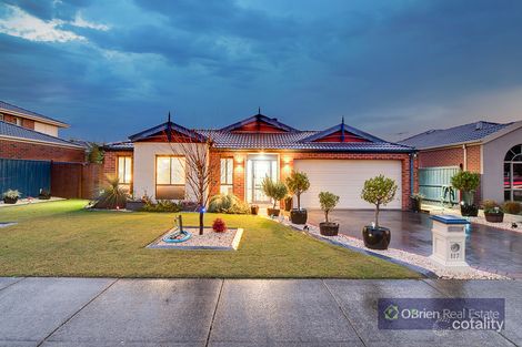 117 Robinswood Pde, Narre Warren South, VIC 3805