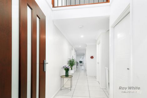 Property photo of 25 Caribbea Street Kuraby QLD 4112