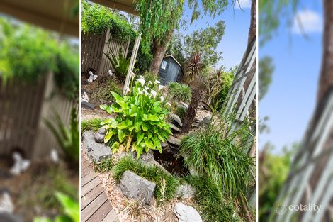 Property photo of 38 Landscape Drive Boronia VIC 3155