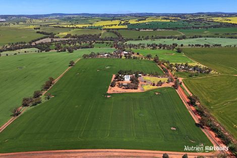 Property photo of 267 Beering Road Irishtown WA 6401