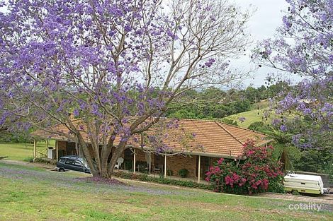 13 Tamarind Cl, Richmond Hill, NSW 2480