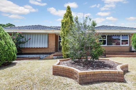 Property photo of 34 O'Connell Street Hamilton Hill WA 6163