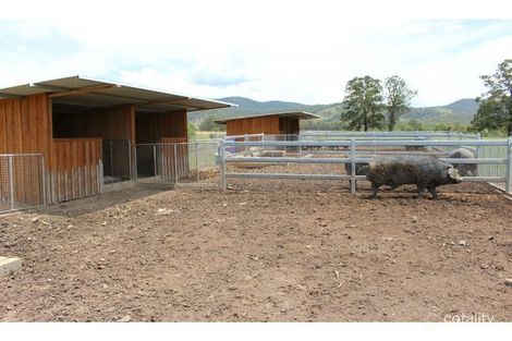 Property photo of 382 Woods Road Craven NSW 2422