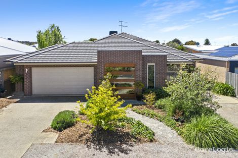 Property photo of 13 Lorama Street Torquay VIC 3228