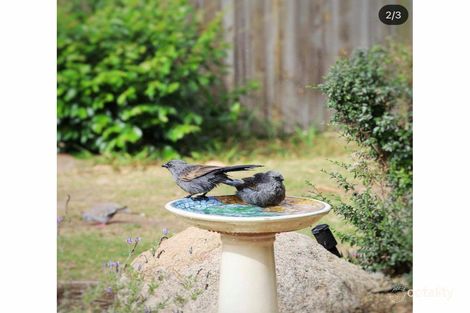 Property photo of 15 Noela Street Karalee QLD 4306