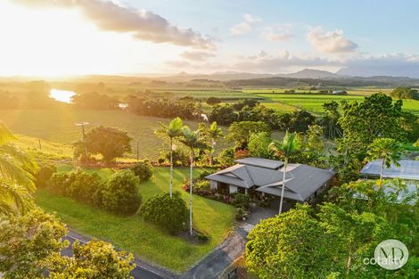 Property photo of 407 Palmerston Highway O'Briens Hill QLD 4860