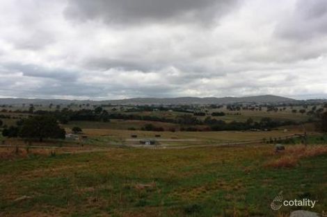 Property photo of 43 Triggs Close Manton NSW 2582