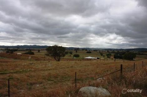 Property photo of 43 Triggs Close Manton NSW 2582