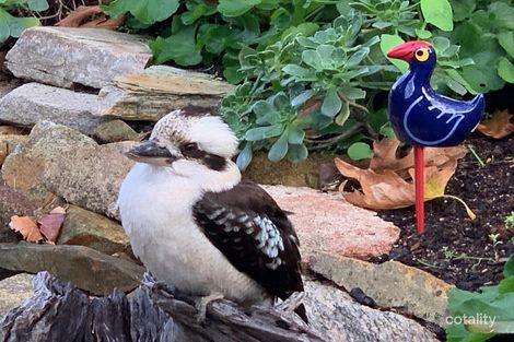 Property photo of 3 Hillside Crescent Gooseberry Hill WA 6076