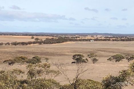 Lot 33 Ortloff Rd, Meribah, SA 5311