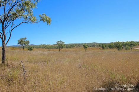 Property photo of 1160 Mount Alma Road Bracewell QLD 4695