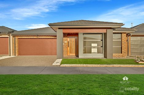 19 Ambigua Way, Donnybrook, VIC 3064