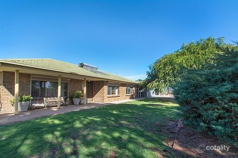 441 Murbko Rd, Murbko, SA 5320